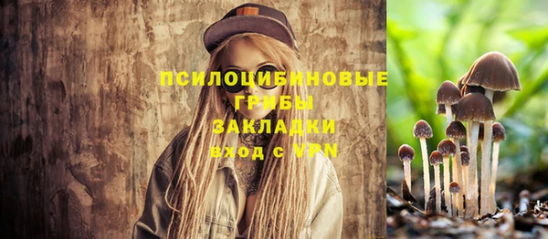 спайс Алексеевка
