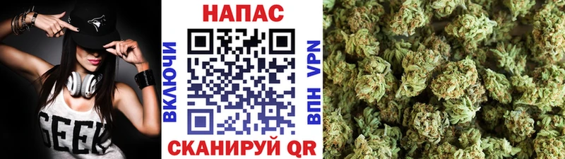 Марихуана конопля купить наркотики цена Канаш